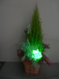DSCN0426.JPG